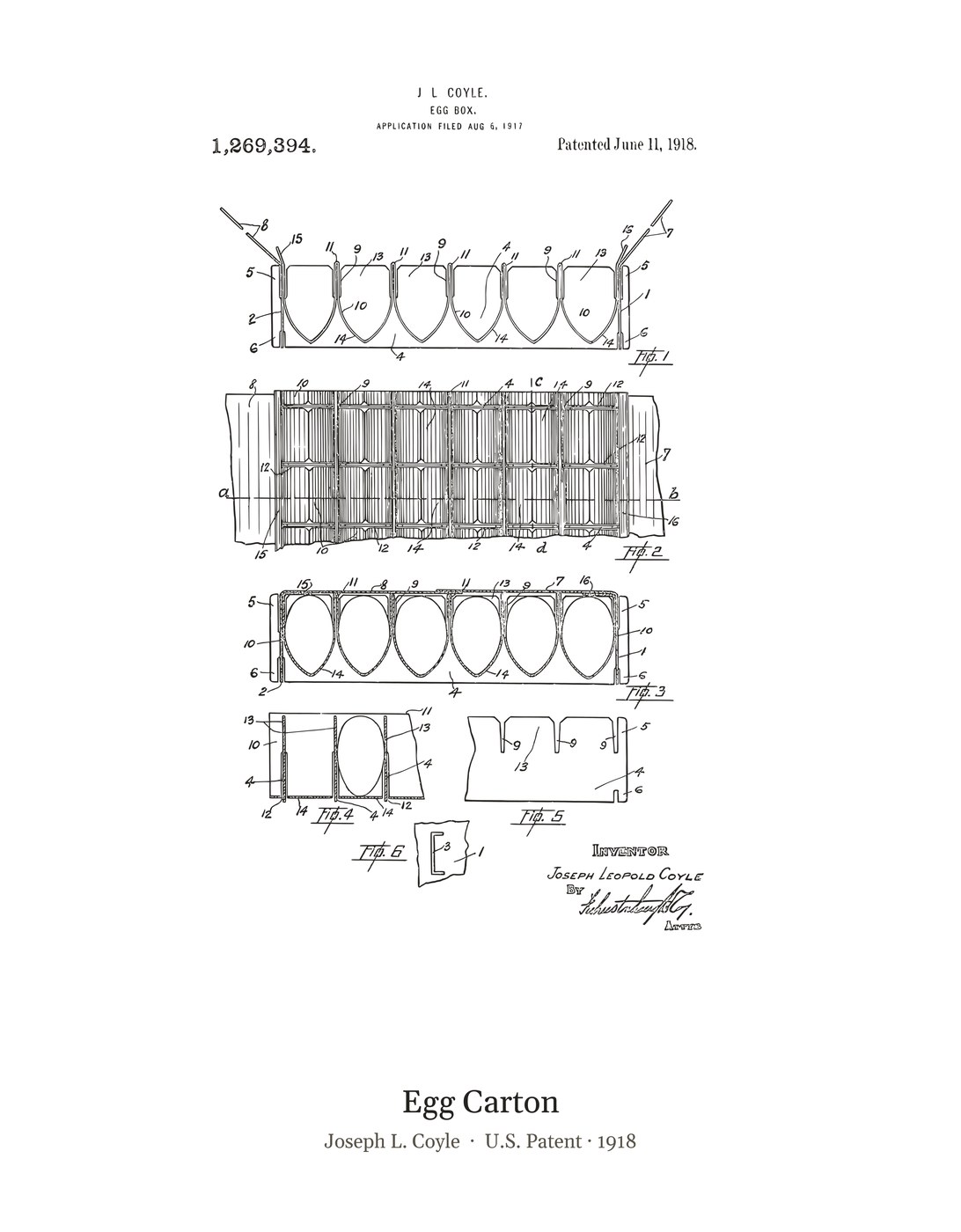 Egg Carton patent art print