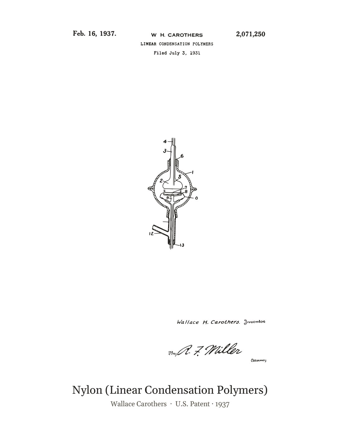 Nylon (Linear Condensation Polymers) patent art print